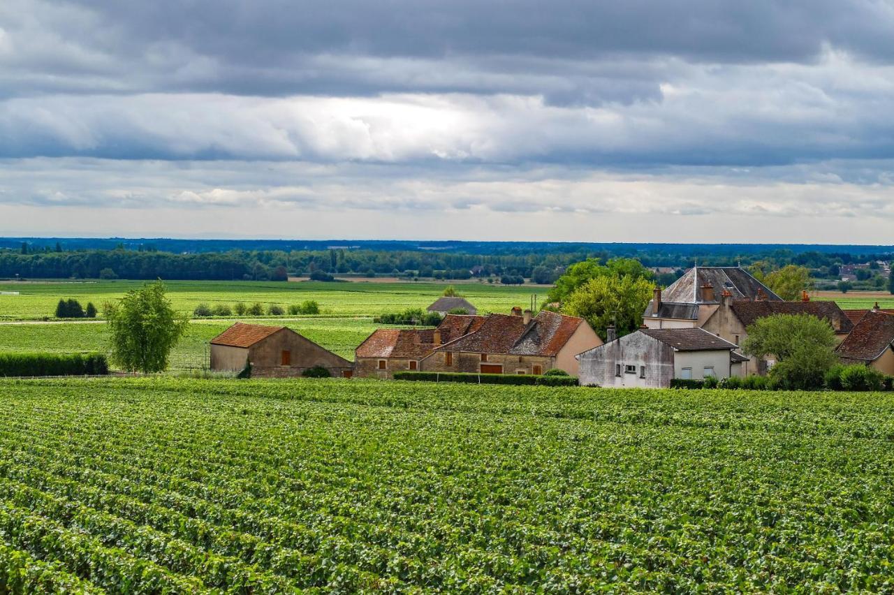 Maison Familiale Dans Village Viticole Ladoix-Serrigny Exterior foto